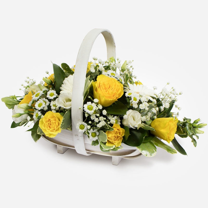 Basket SYM 347
