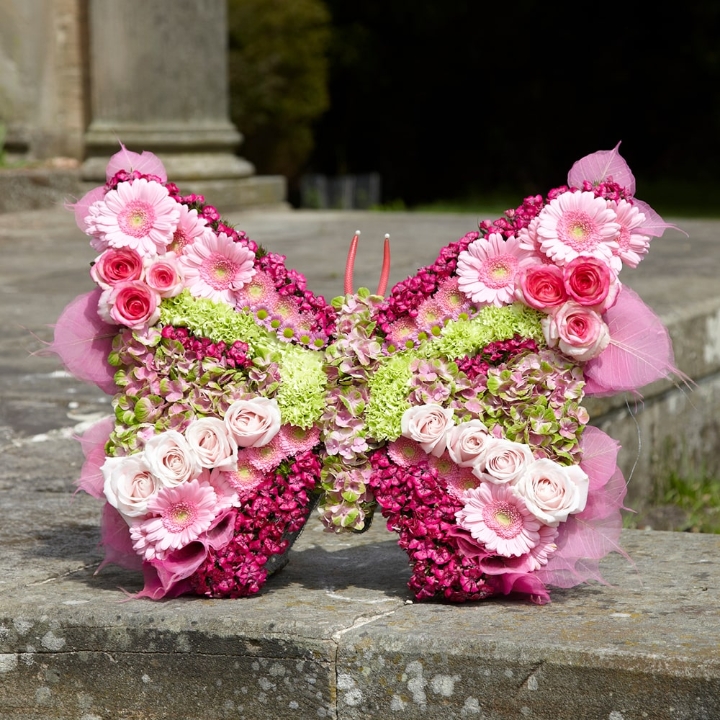 Butterfly Tribute