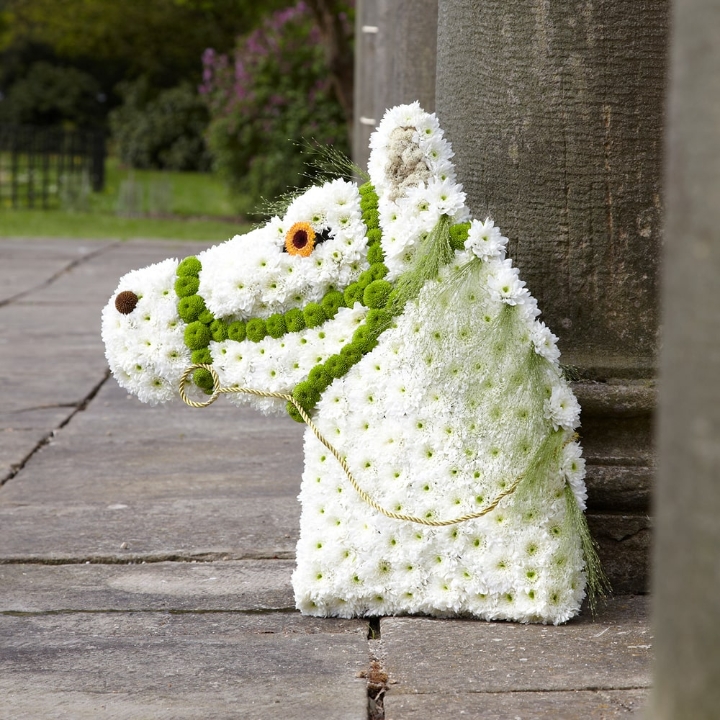 Horse Head Tribute