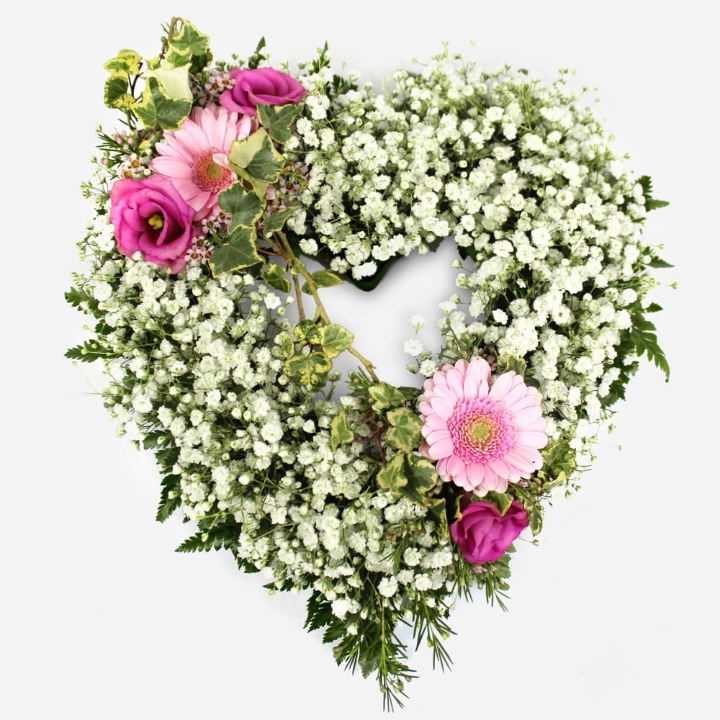 Open Gypsophila Heart