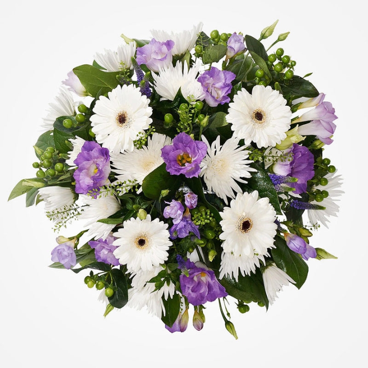 Posy SYM 345
