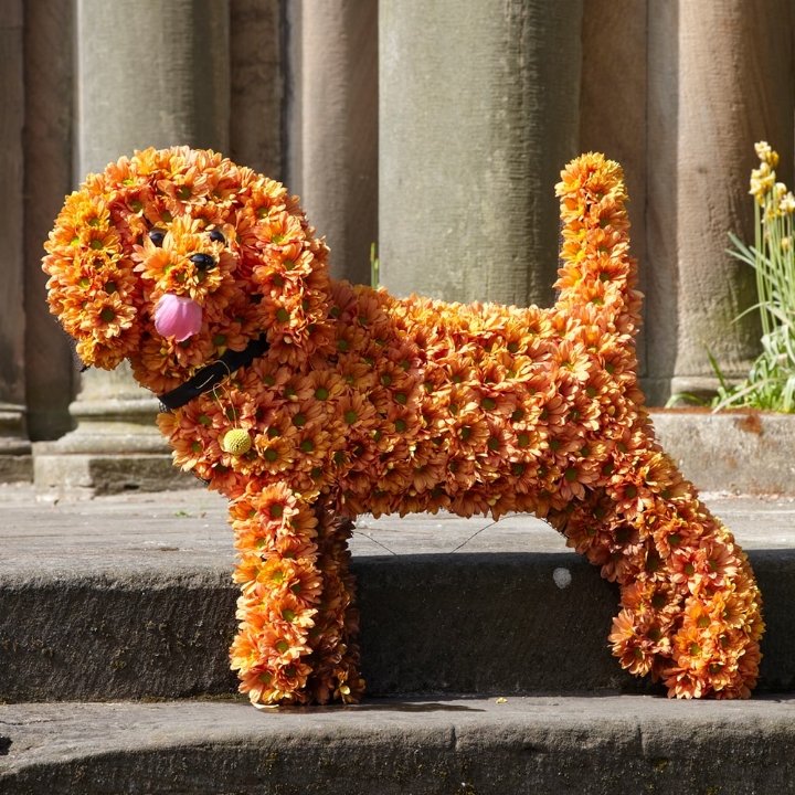 Standing Dog Tribute