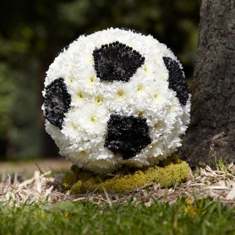 Football Tribute