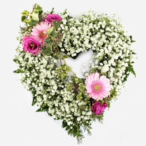 Open Gypsophila Heart